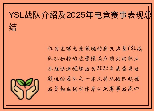 YSL战队介绍及2025年电竞赛事表现总结